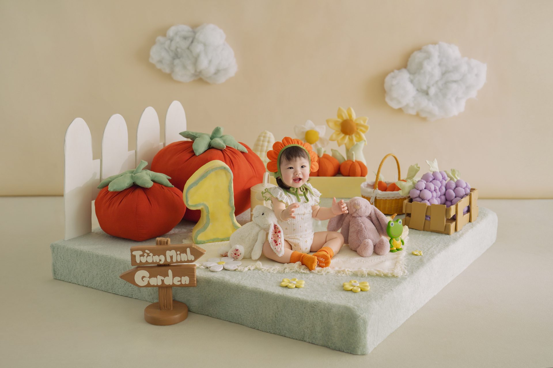 Concept Tường Minh Garden – Thiết kế — chụp ảnh em bé tại Tiệm ảnh Lạc Lạc